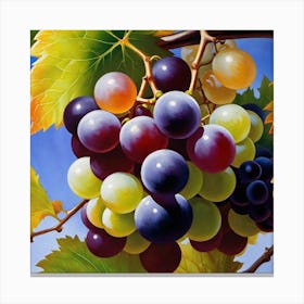 Grapes On The Vine 21 Canvas Print