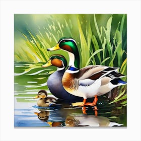 Ducks By The Pond Canvas Print