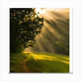 Sunbeams 2 Canvas Print