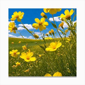 Yellow Flowers In A Field 6 Canvas Print