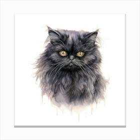 Black Persian Cat Portrait 2 Canvas Print