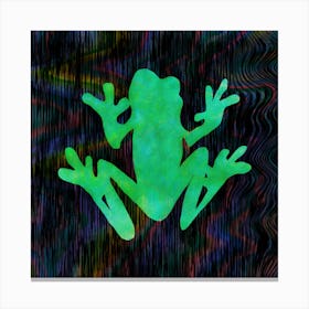 Toad-ally a Frog Canvas Print