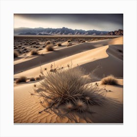 Desert Landscape 19 Canvas Print