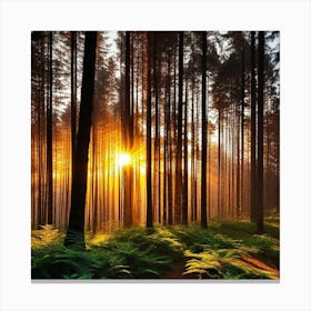 Sunrise In The Forest 18 Canvas Print