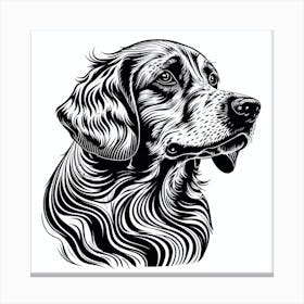 Portrait Of A Dog Canvas Print