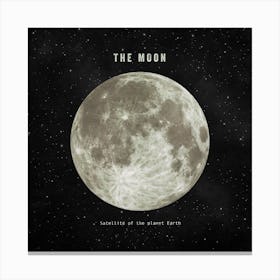 The Moon Canvas Print
