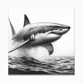 Great White Shark 5 Canvas Print