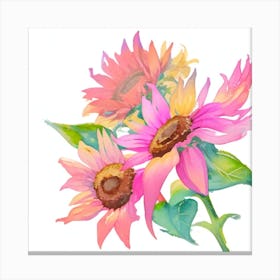 Watercolor Pink Sunflowers Canvas Print