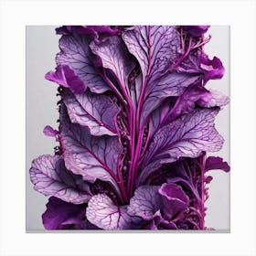 Purple Cabbage 7 Canvas Print