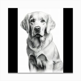 Golden Retriever Canvas Print