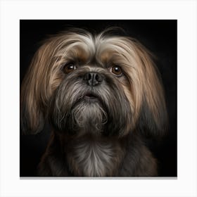 Shih Tzu Portrait Canvas Print