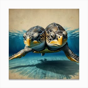 Two Turtles In The Water Canvas Print