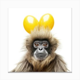 Monkey With Balloons 3 Canvas Print