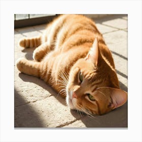 Orange Tabby Cat Laying In The Sun Canvas Print