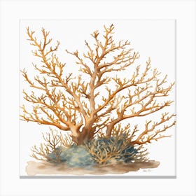 Coral Tree 1 Canvas Print