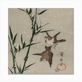 Two Birds In Flight Canvas Print