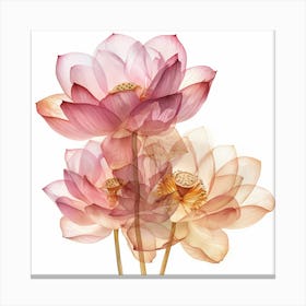 Lotus2 Canvas Print