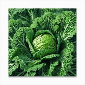 Close Up Of A Cabbage 3 Canvas Print