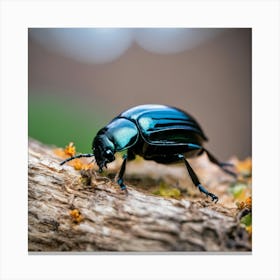 Beetle 2 Canvas Print