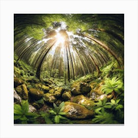 Ferns In The Forest 9 Canvas Print