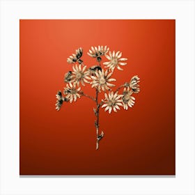 Gold Botanical Lilac Senecio Flower on Tomato Red n.3735 Canvas Print