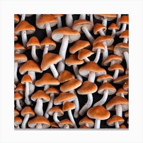 Mushrooms On A Black Background 3 Canvas Print