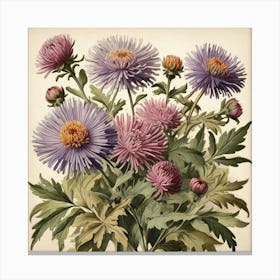 Asters Wildflower Vintage Botanical Art Print 3 Canvas Print