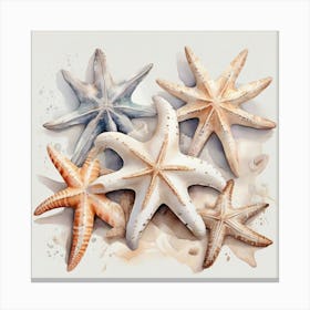 A Big Sea Stars Canvas Print