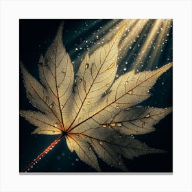 Maple Leaf 2 Canvas Print
