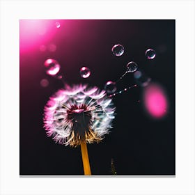 Illuminated Pink Dandelion and Water Droplets Canvas Print