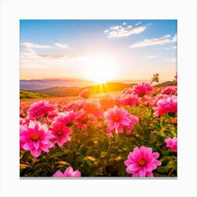 Pink Flowers At Sunset Canvas Print