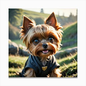 Yorkshire Terrier Canvas Print