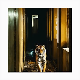 Tiger In An Abandoned Building Canvas Print