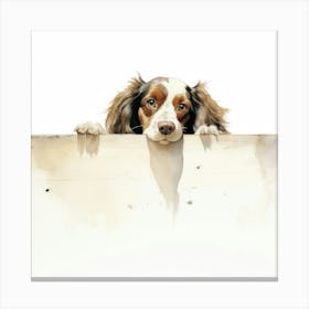 Spaniel Boykin 5 Canvas Print