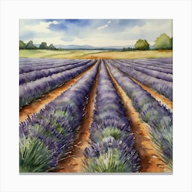 Lavender Field 1 Canvas Print