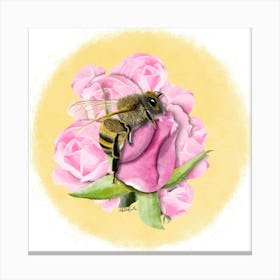 Bee/Abeille Canvas Print