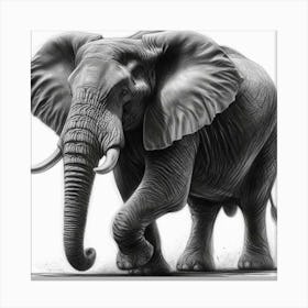 Elephant In Black And White Canvas Print