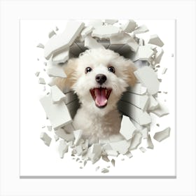Dog Through A Hole 5 Canvas Print