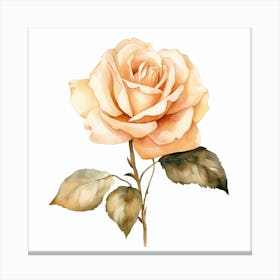 Watercolor Rose Canvas Print