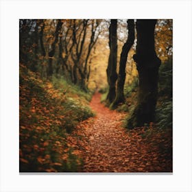 Autumn Path 6 Canvas Print