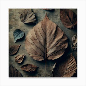 Aging leaf 5 Canvas Print