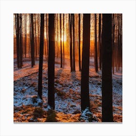 Sunrise In The Forest 29 Canvas Print