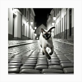 Siamese Cat 1 Canvas Print