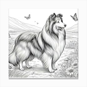 Line Art Collie dog 3 Canvas Print