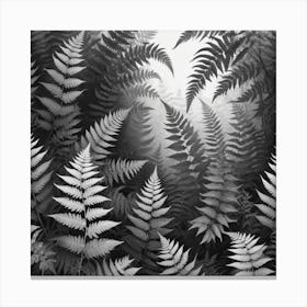 Ferns In The Forest 9 Canvas Print