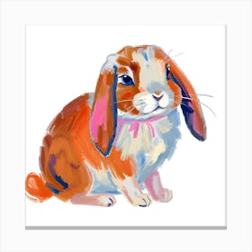 Holland Lop Rabbit 03 1 Canvas Print