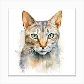 Seychellois Cat Portrait 2 Canvas Print