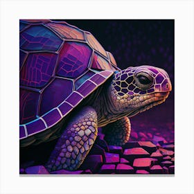Fractal Turtle Canvas Print