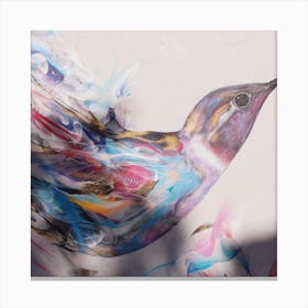 Hummingbird Canvas Print