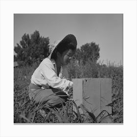 Untitled Photo, Possibly Related To Nyssa, Oregon, Fsa (Farm Security Administration) Mobile Camp, Japanes Canvas Print
